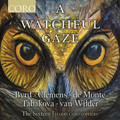 Album artwork for A Watchful Gaze