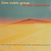 Album artwork for Liam Noble - In The Meantime 