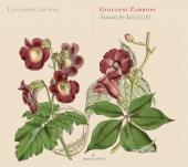 Album artwork for Giovanni Zamboni: Sonatas for Lute