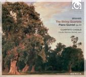 Album artwork for Brahms: String Quartets, Piano Quintet (Casals)