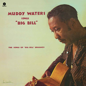 Album artwork for Muddy Waters - Sings Big Bill Broonzy + 2  Bonus T