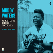 Album artwork for Muddy Waters - Sings Big Bill + 4 Bonus Tracks! 