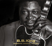 Album artwork for B. B. King - Essential Original Albums 