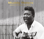Album artwork for Muddy Waters - Essential Original Albums 