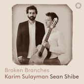 Album artwork for Broken Branches