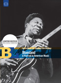 Album artwork for Masters of American Music: Bluesland