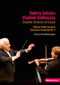 Album artwork for Sibelius: Violin Concerto / Schumann: Symphony no.