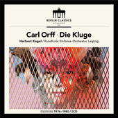Album artwork for DIE KLUGE
