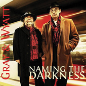 Album artwork for Gray & Wyatt - Naming The Darkness 