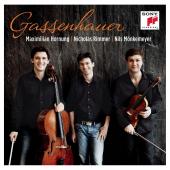 Album artwork for GASSENHAUER - Works for String Trio