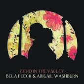 Album artwork for ECHO IN THE VALLEY (LP)