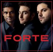 Album artwork for Forte / Forte