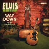 Album artwork for Elvis - Wazy Down in the Jungle Room
