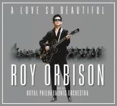 Album artwork for A Love So Beautiful / Roy Orbison,