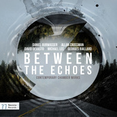 Album artwork for Between the Echoes