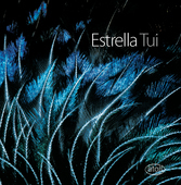 Album artwork for TUI: WORKS FOR TWO PIANOS, E