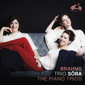 Album artwork for The Piano Trios