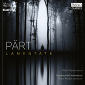 Album artwork for Lamentate (LP)