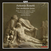 Album artwork for Rosetti: Der sterbende Jesus